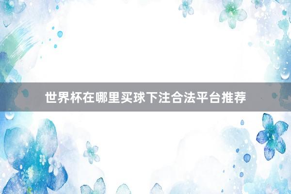 世界杯在哪里买球下注合法平台推荐